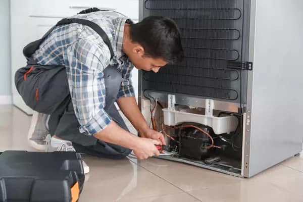 Wine Cooler Repair or Installation Refrigerator repair Freezer repair Compressor repair